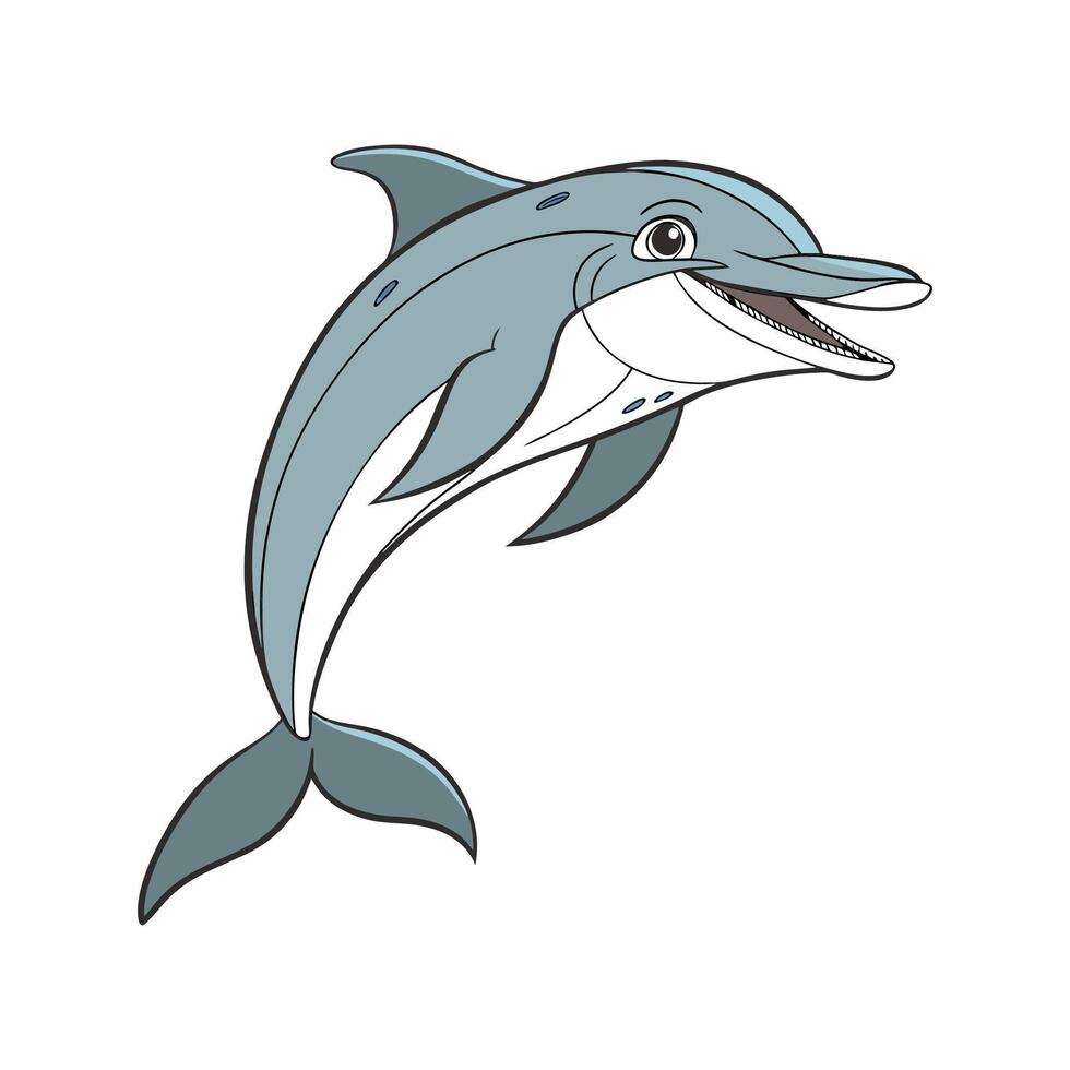 Charming RoughToothed Dolphin vector