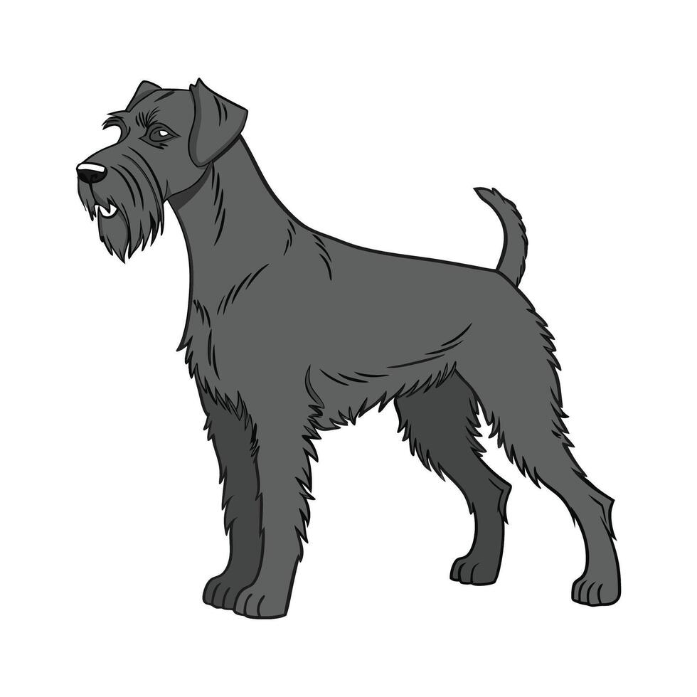 Russian Black Terrier Illustration vector