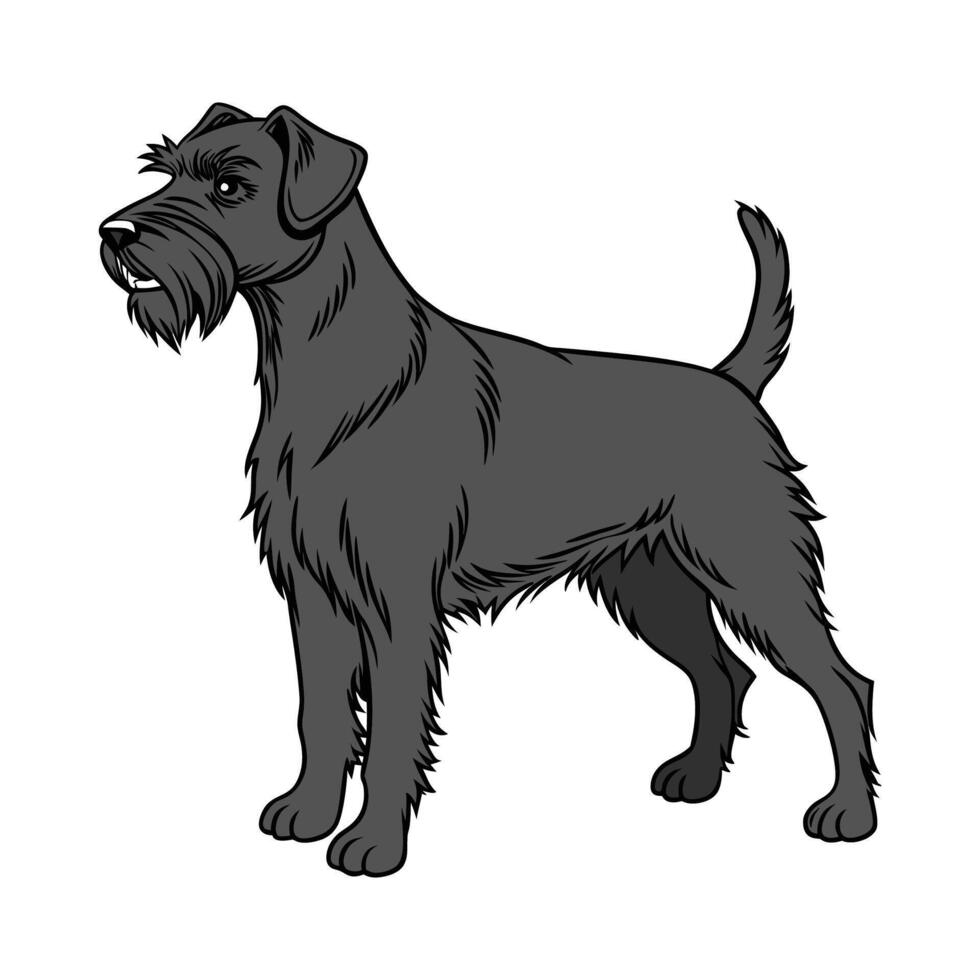 Rottweiler Dog CloseUp Illustration vector