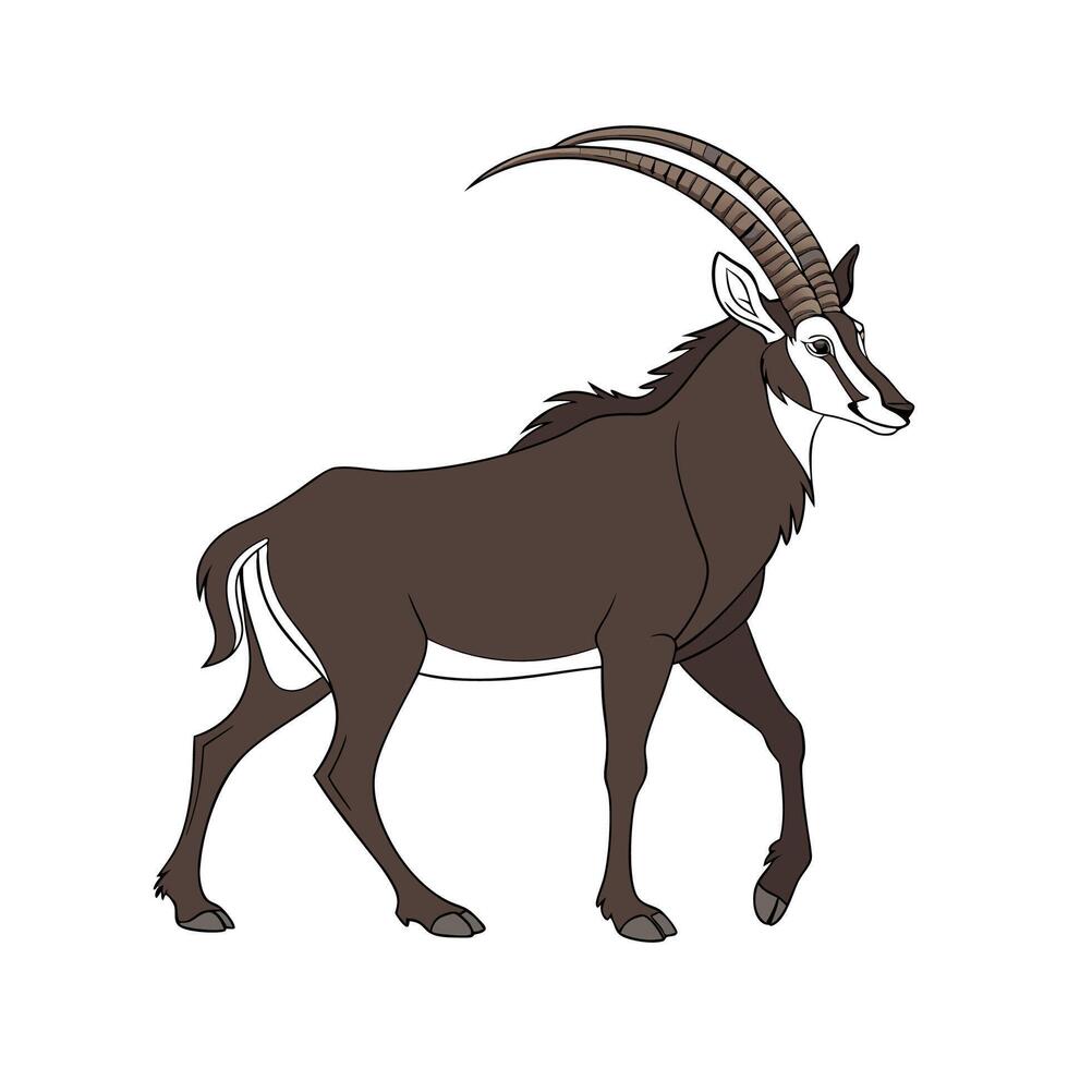 Charming Sable Antelope vector