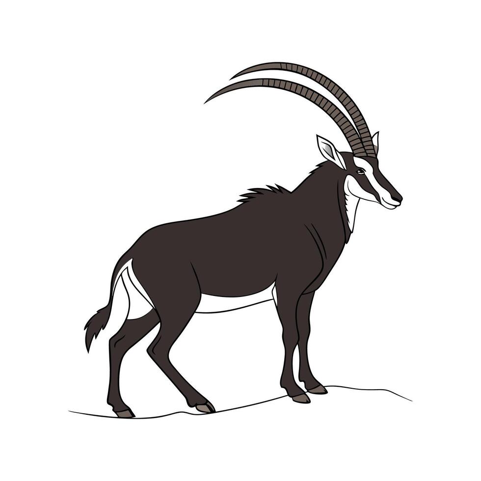 Sable Antelope CloseUp vector