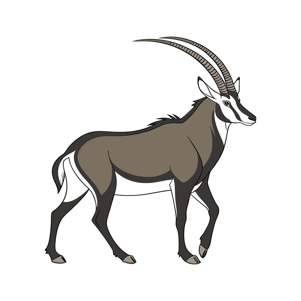 Sable Antelope on White Background vector