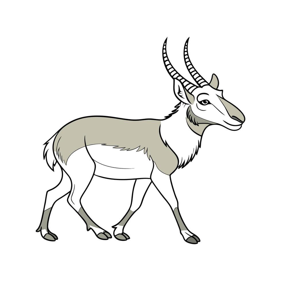 Saiga Antelope CloseUp vector