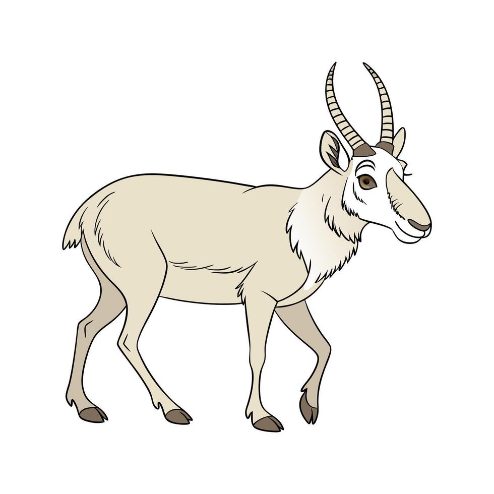 Charming Saiga Antelope vector