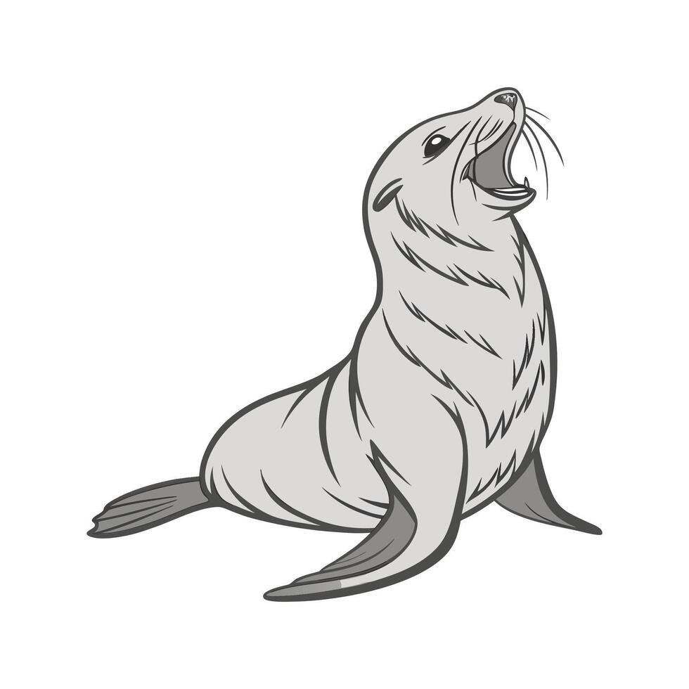 Sea Lion on White Background vector