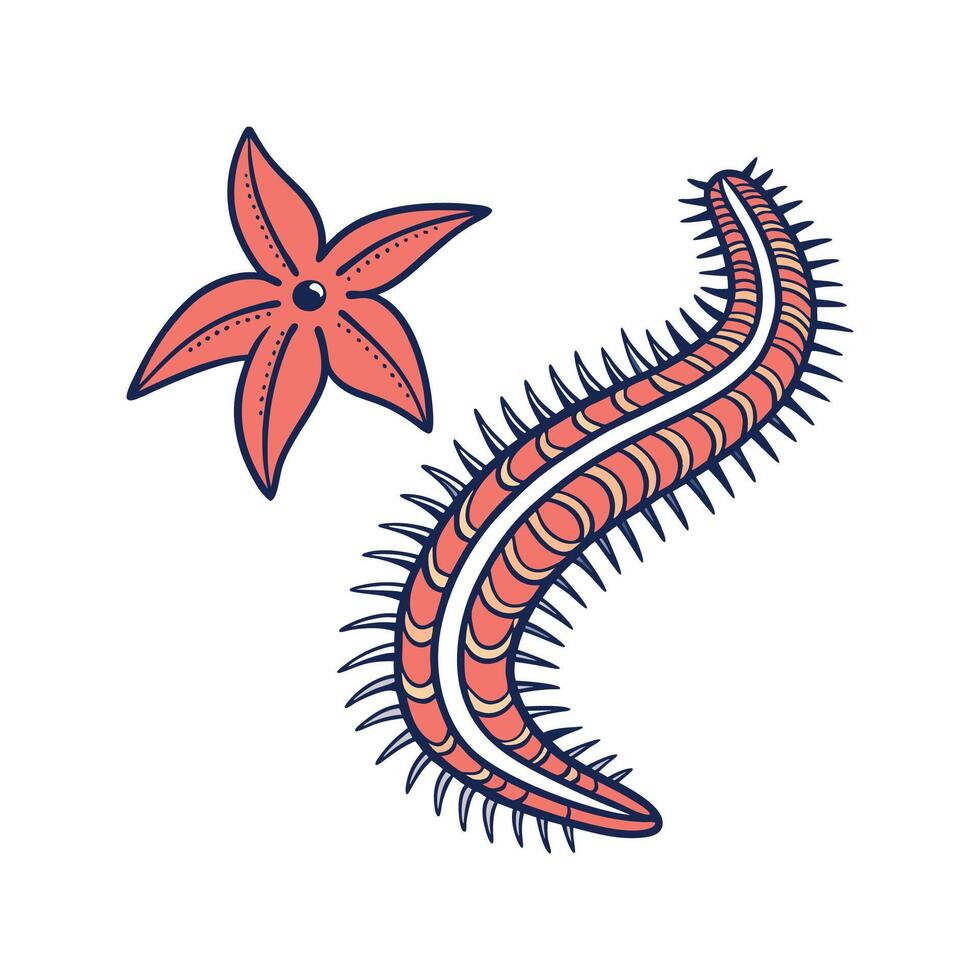 Charming Sea Cucumber vector
