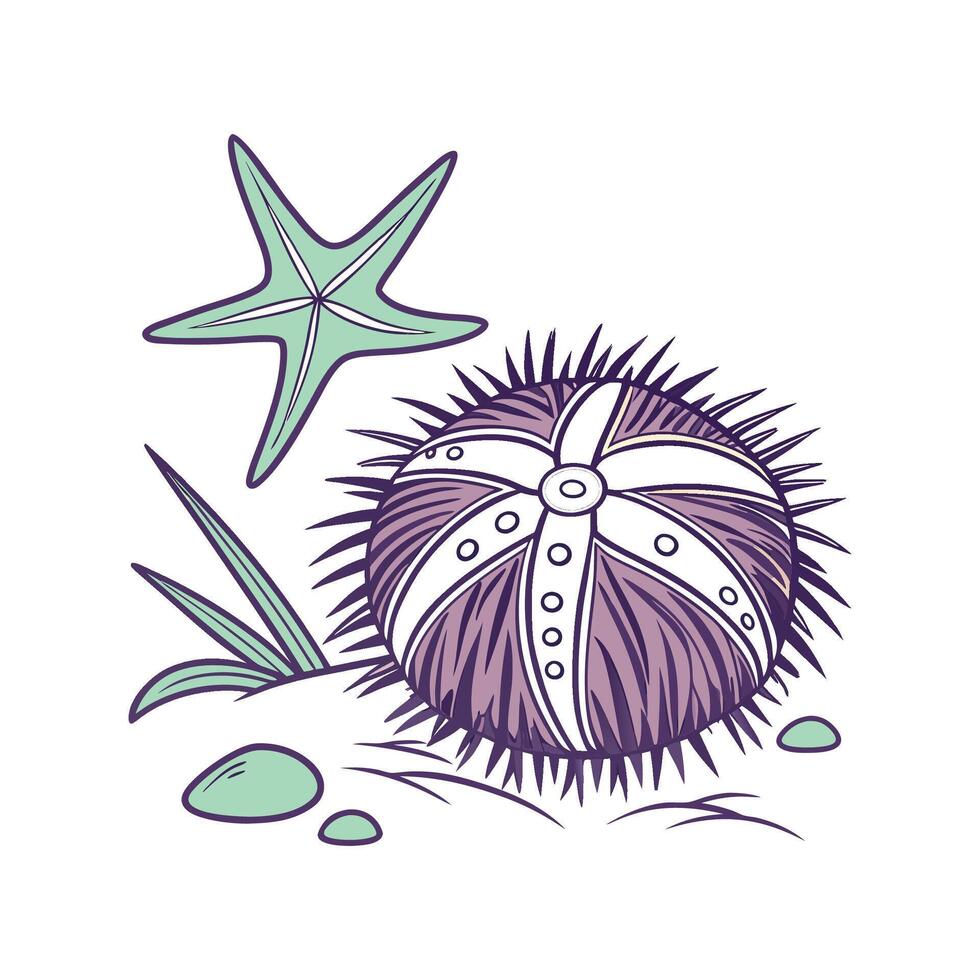 Charming Sea Urchin vector