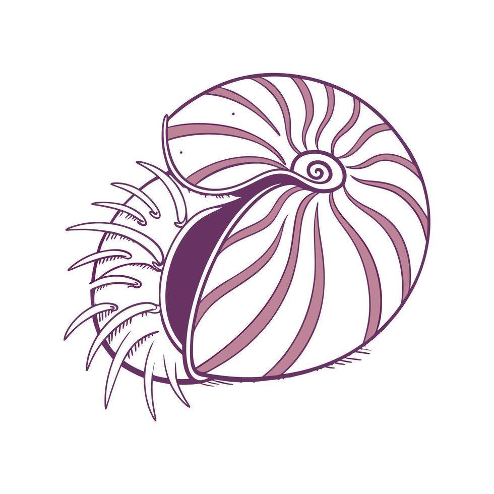 Sea Urchin CloseUp vector