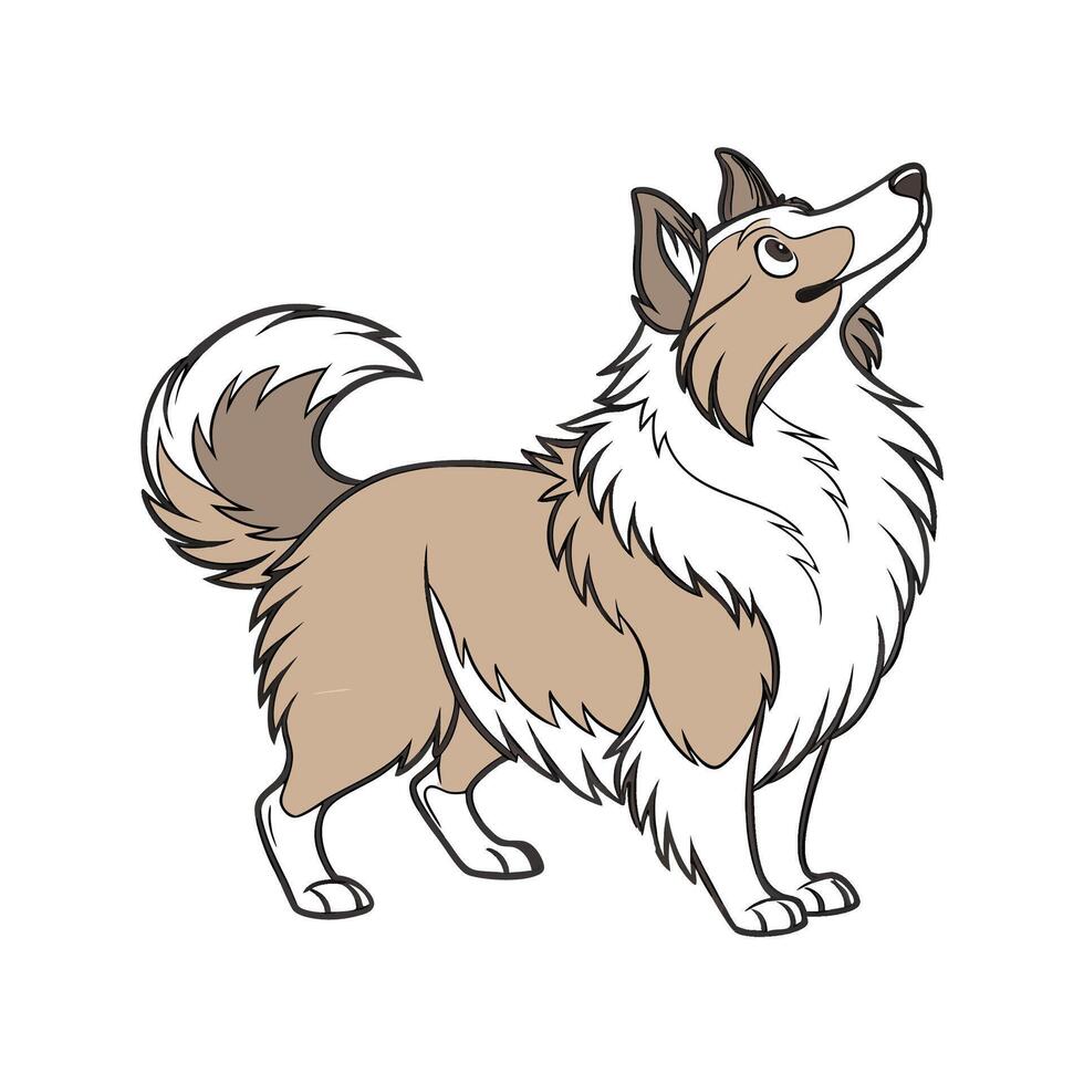 Shetland Sheepdog in Playful Pose vector