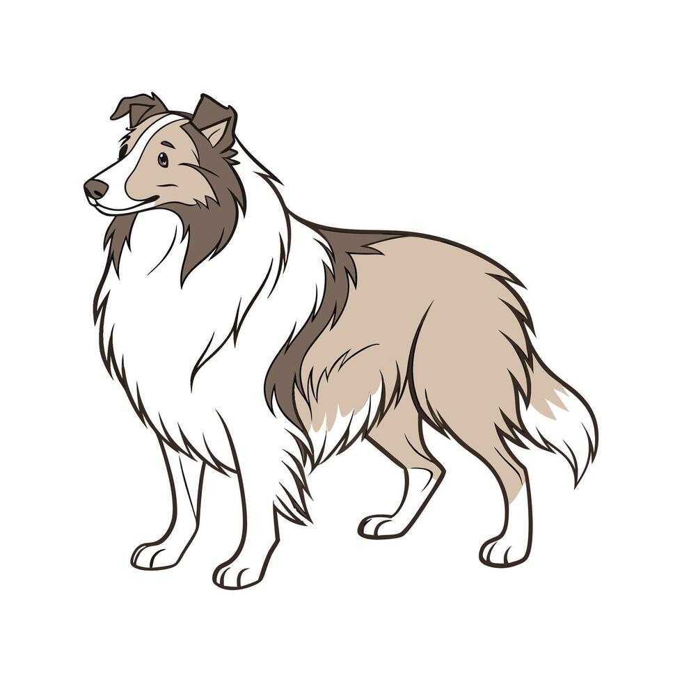 Charming Shetland Sheepdog vector