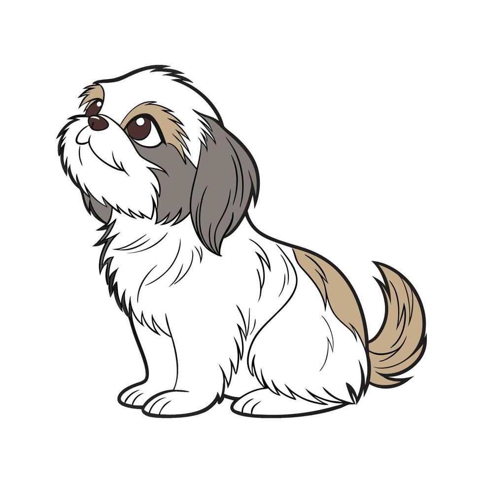 Shih Tzu Pet CloseUp vector