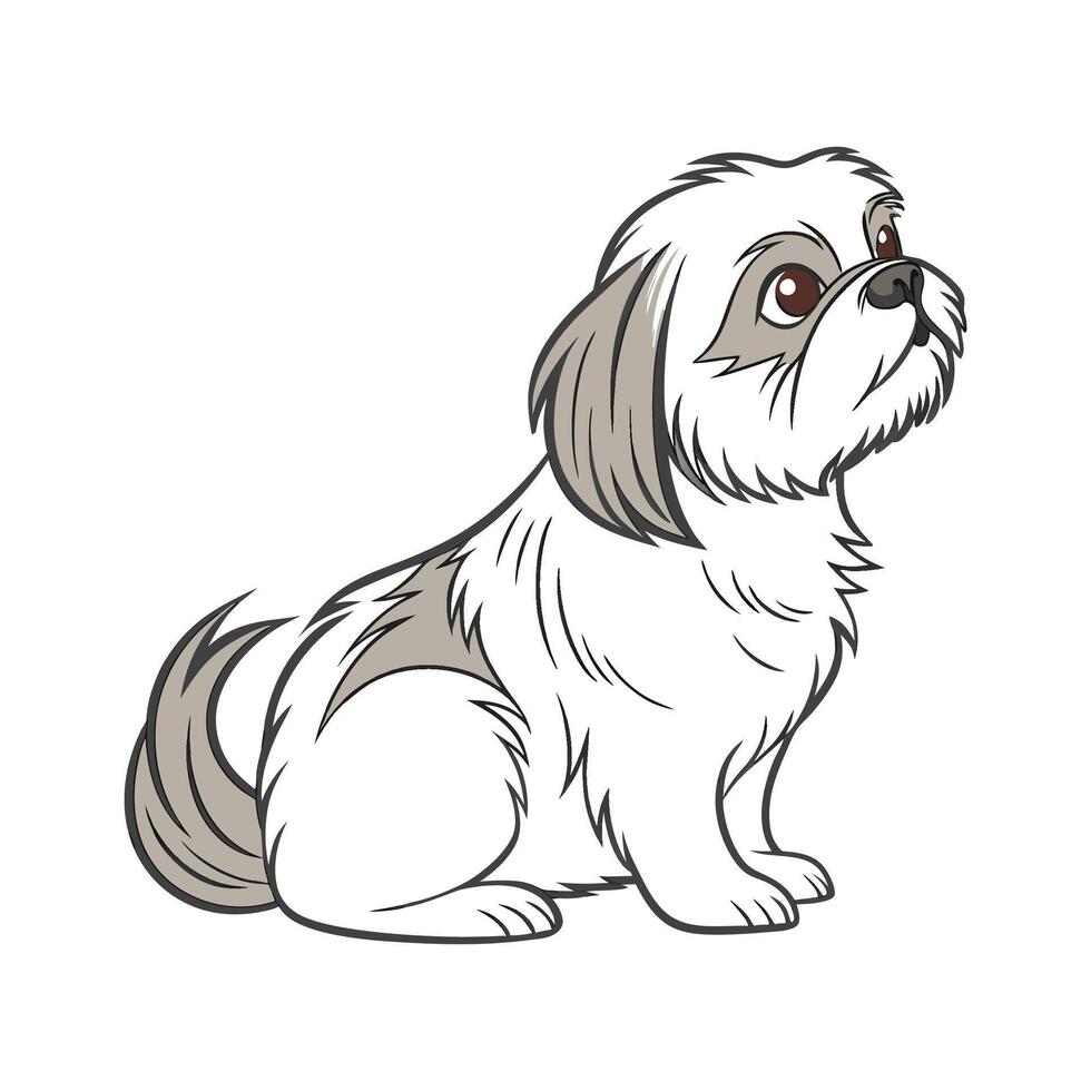 Shih Tzu CloseUp vector