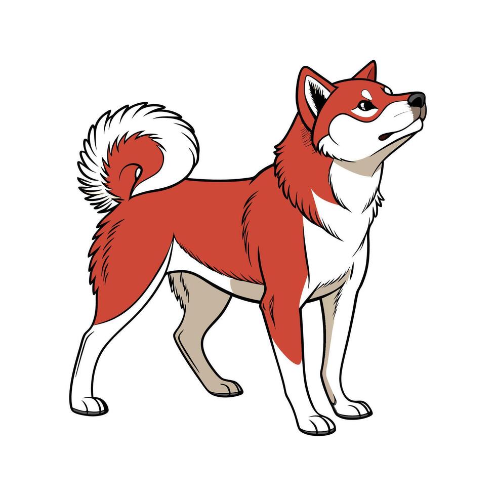 Shiba Inu Dog on White vector