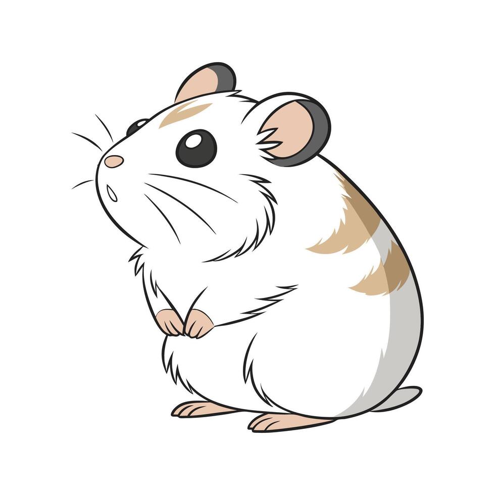 Siberian Hamster CloseUp vector