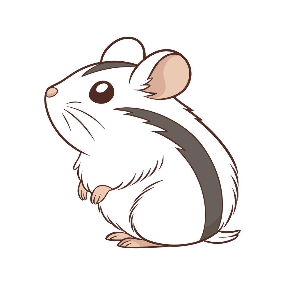 Siberian Hamster on White Background vector