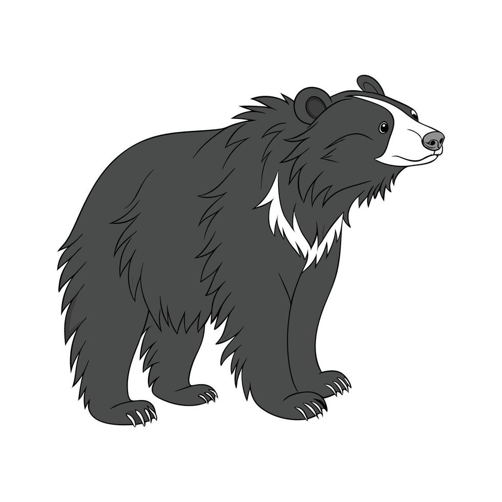 Sloth Bear CloseUp vector