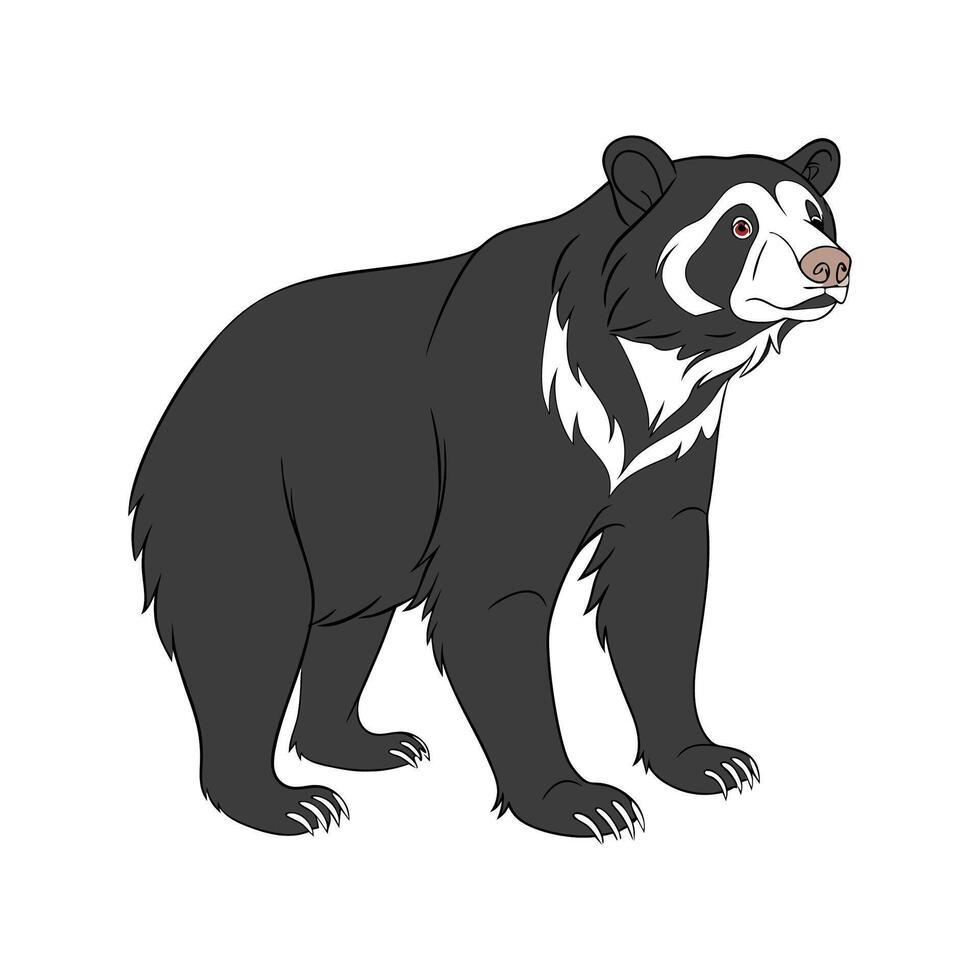 Spectacled Bear on White Background vector