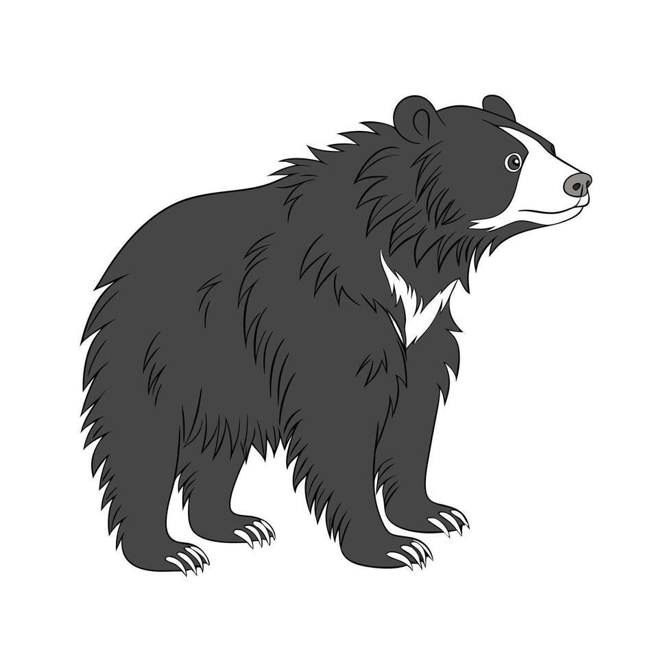 Sloth Bear in Natural Habitat vector