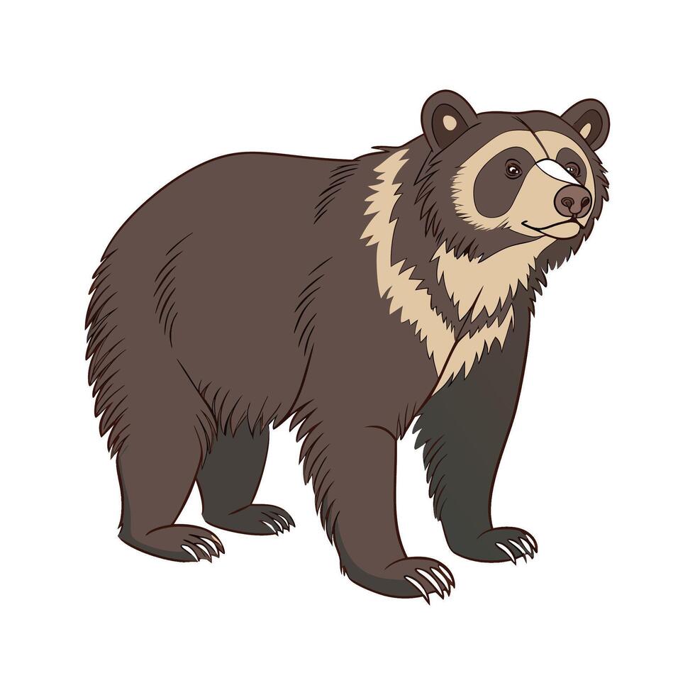 Spectacled Bear in Natural Habitat vector