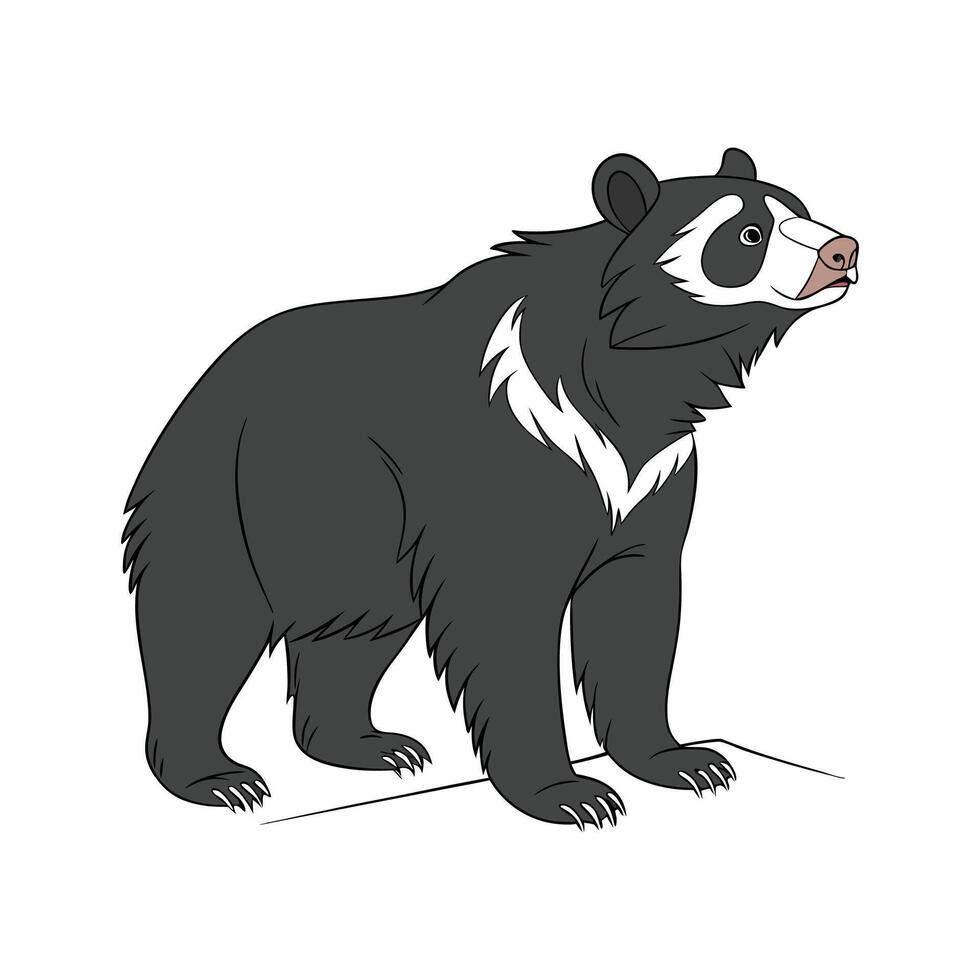 Charming Spectacled Bear vector