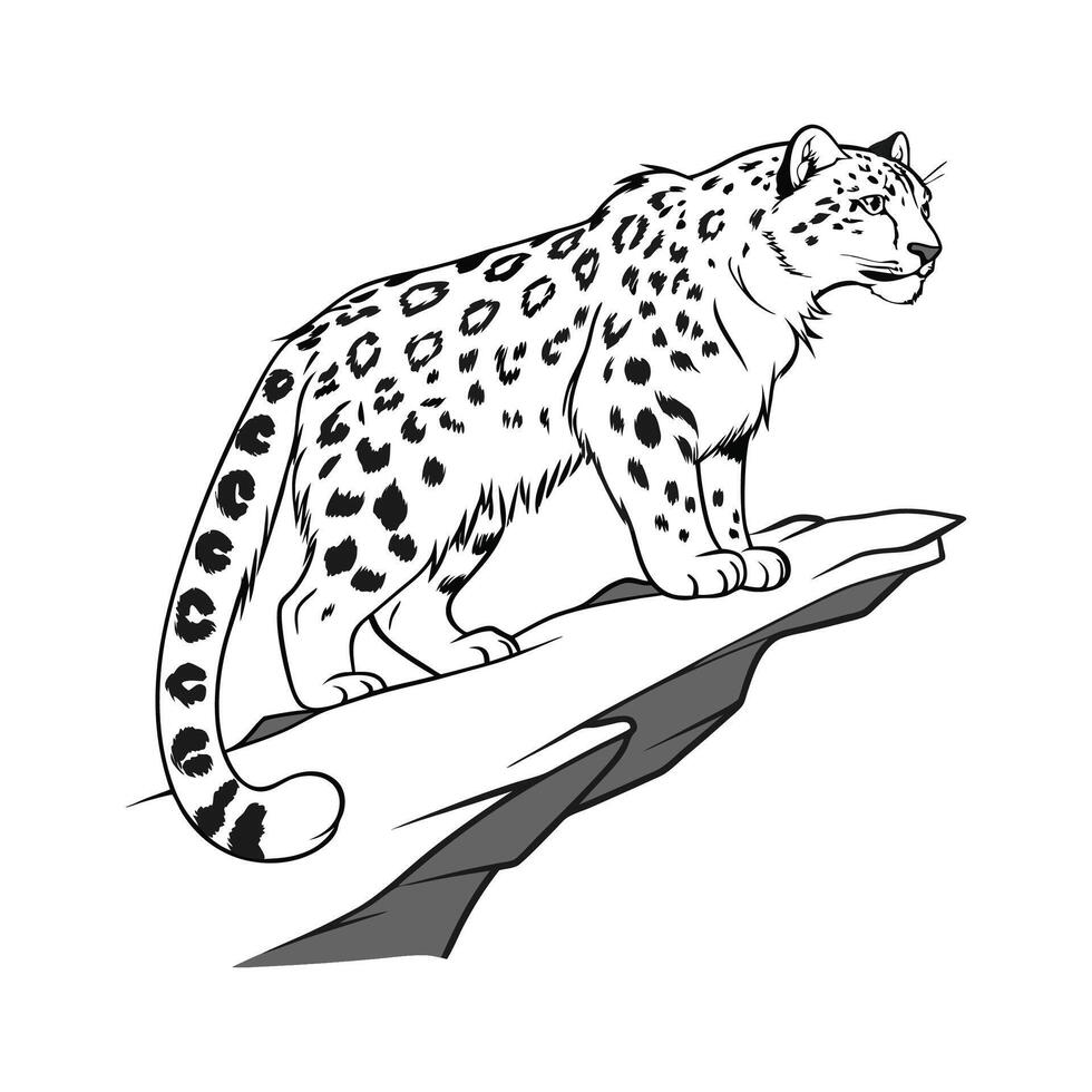 Snow Leopard in Natural Habitat vector