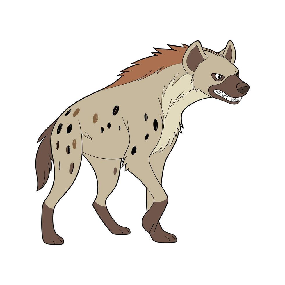 Spotted Hyena CloseUp vector