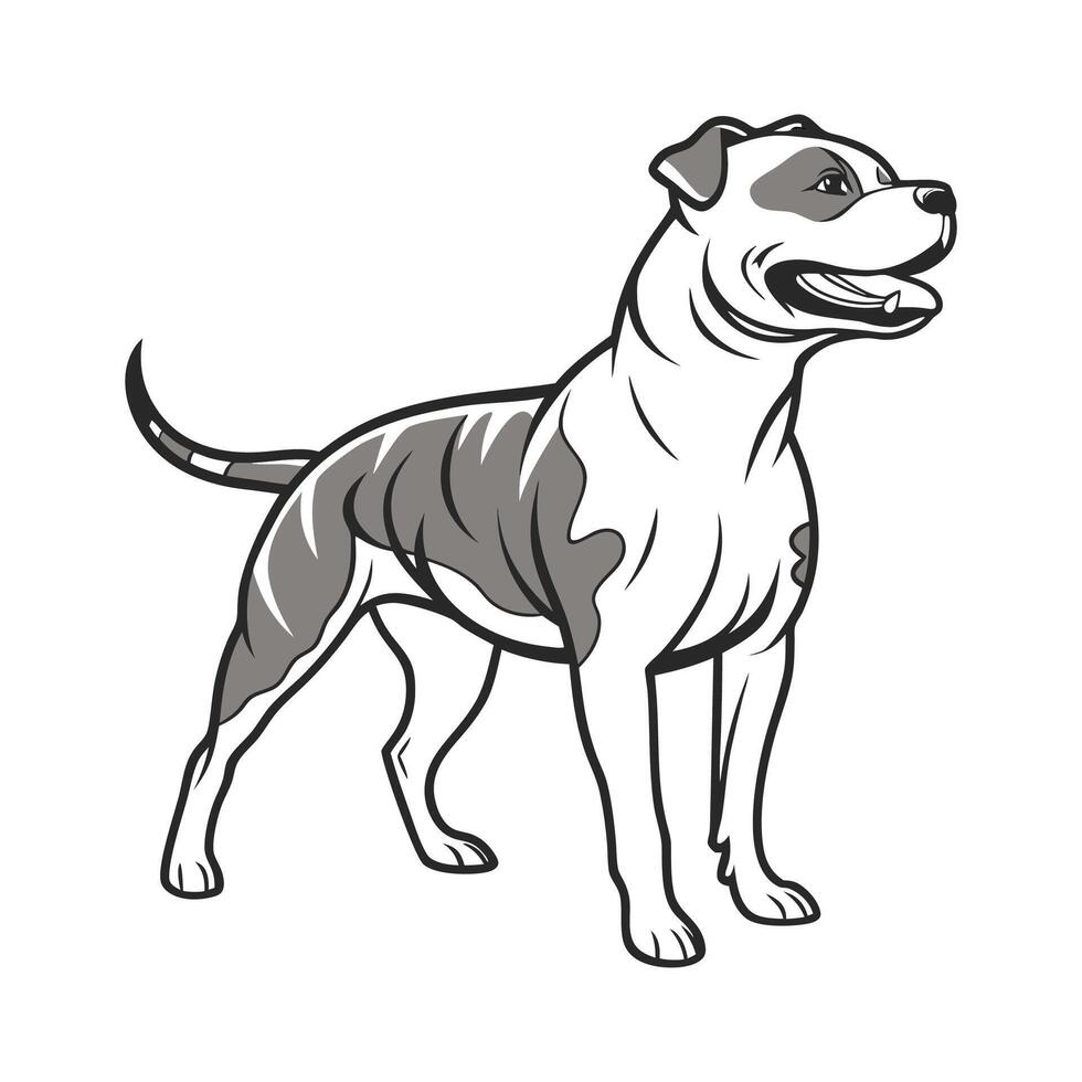 Staffy in Playful Pose vector