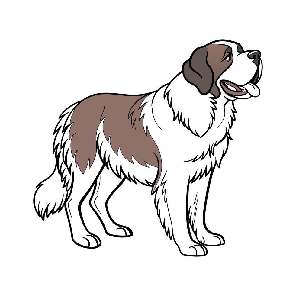 Charming St. Bernard vector