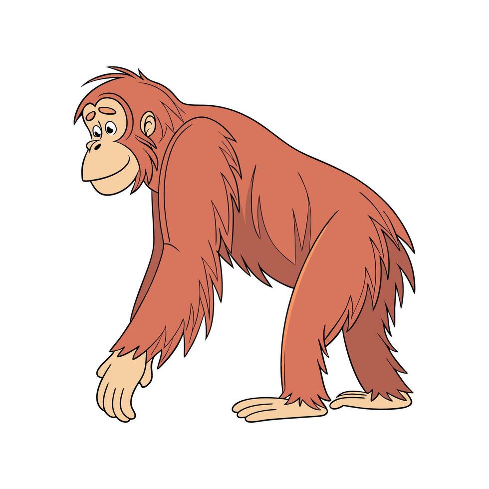 Sumatran Orangutan CloseUp vector