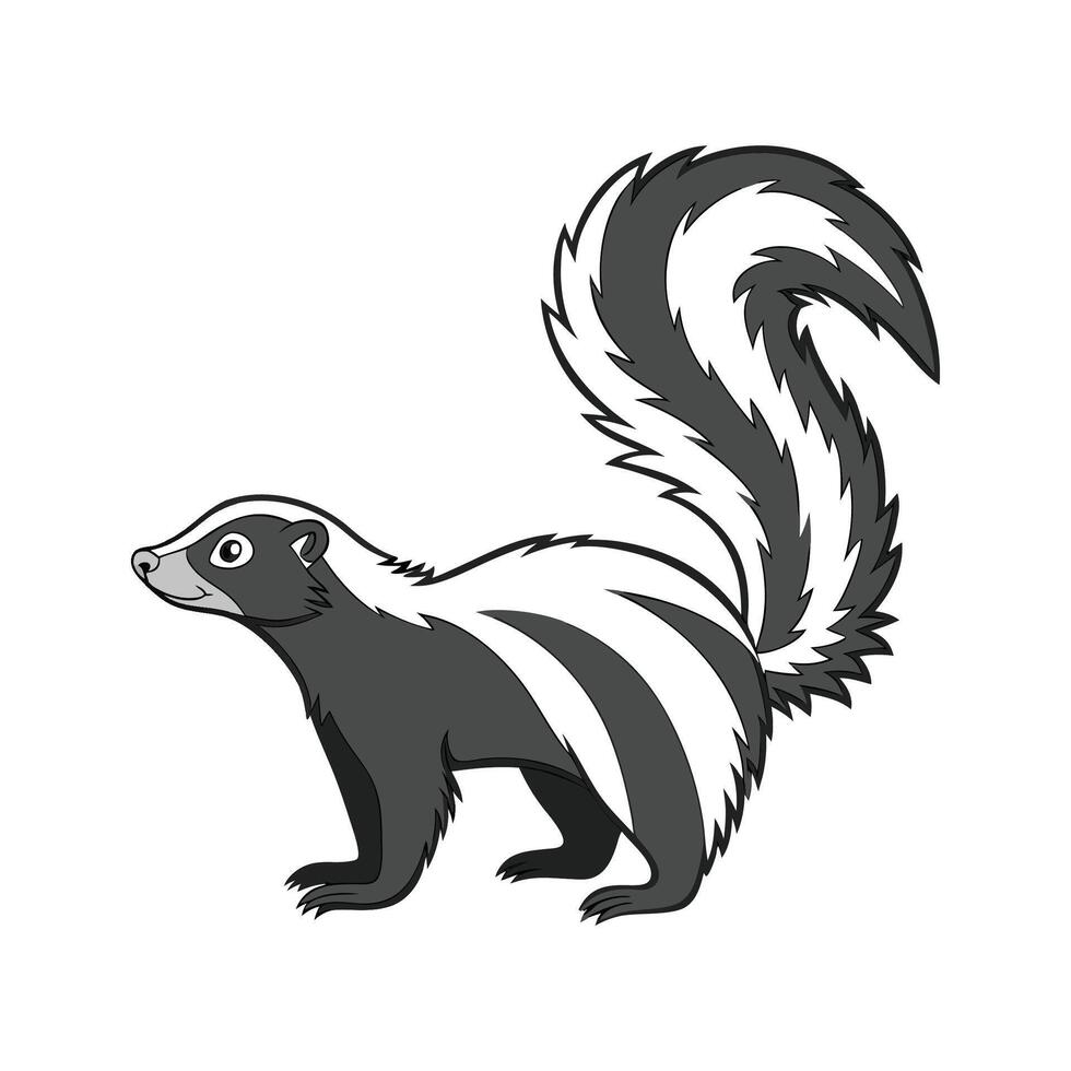 Striped Skunk CloseUp Shot vector