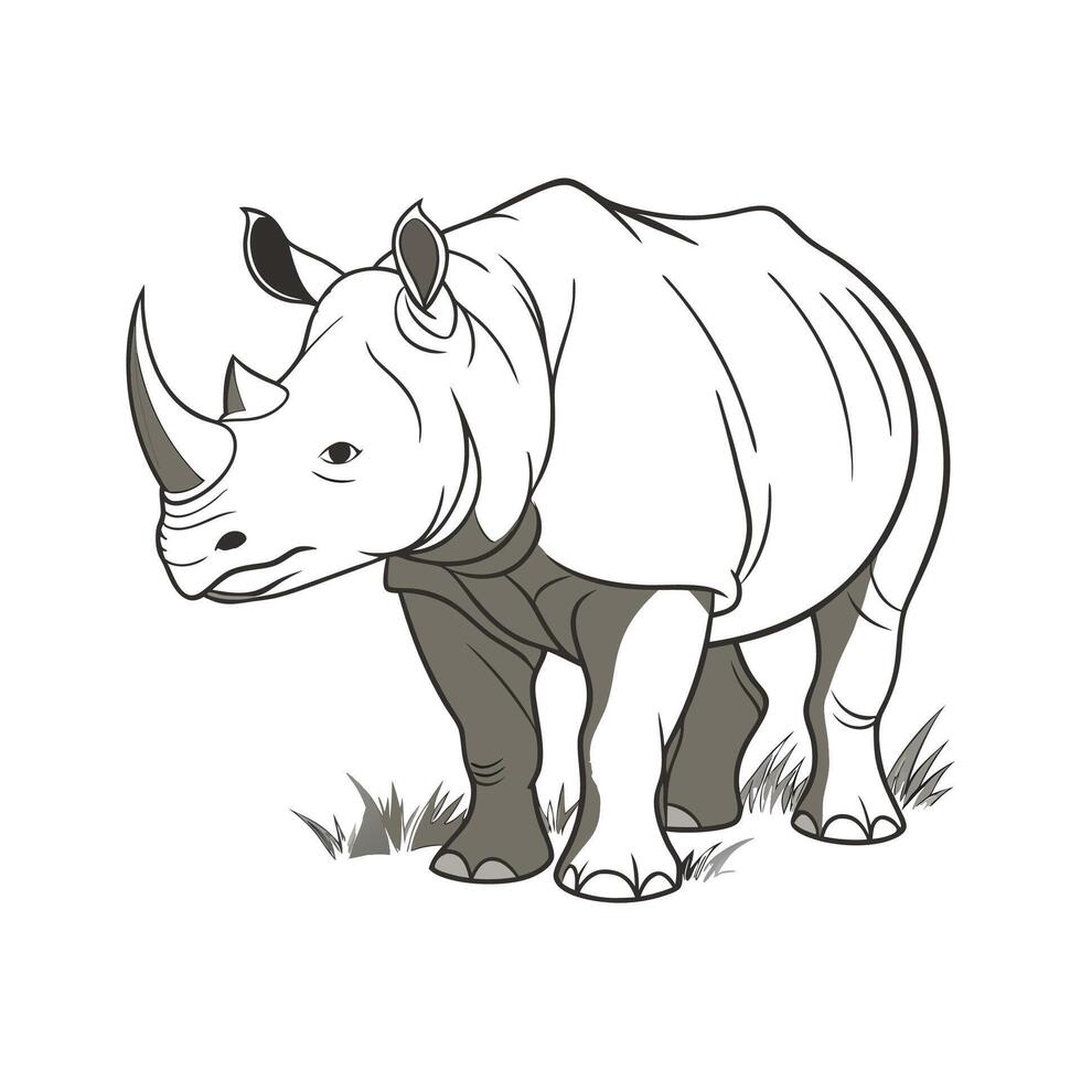 Sumatran Rhino on White Background vector