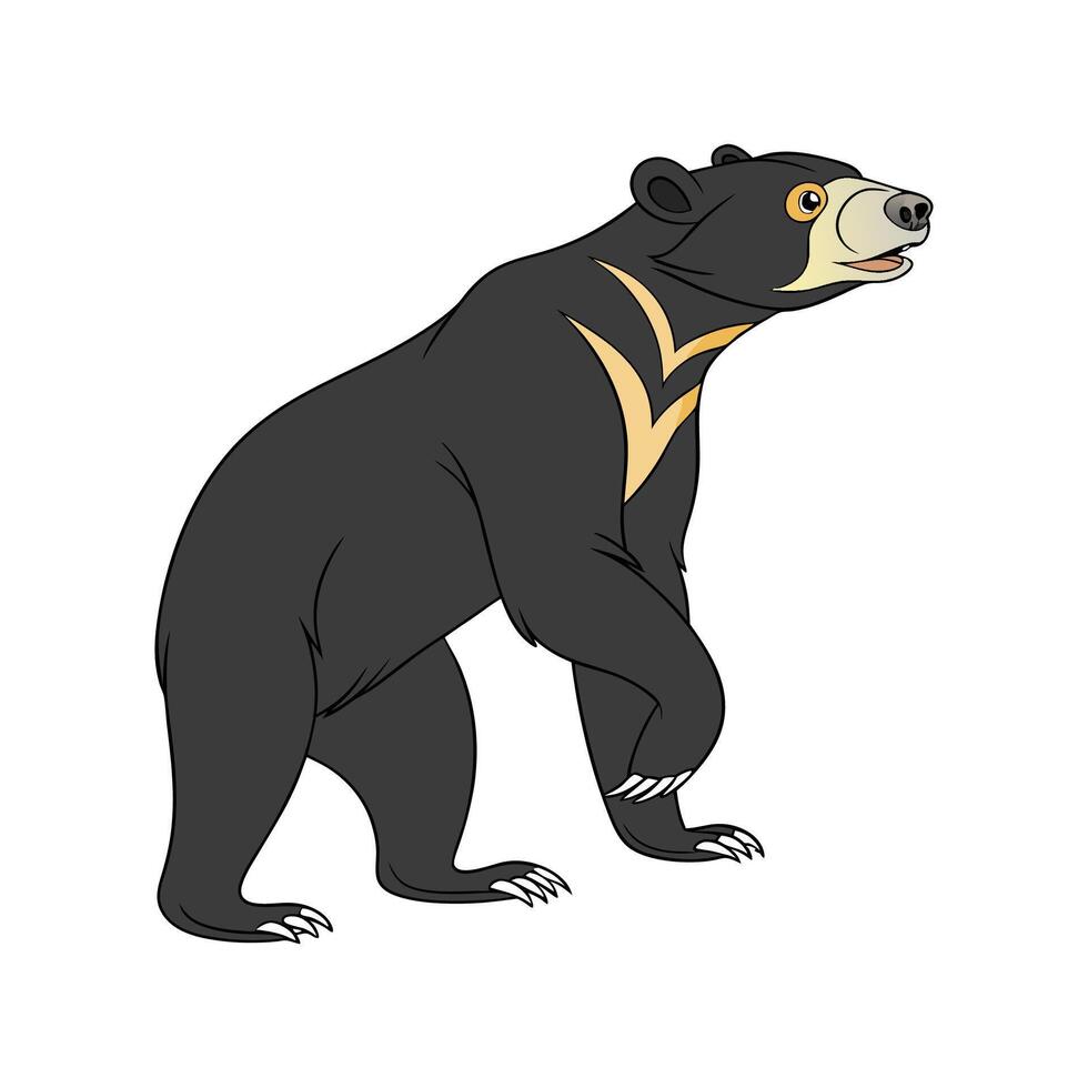 Sun Bear in Natural Habitat vector
