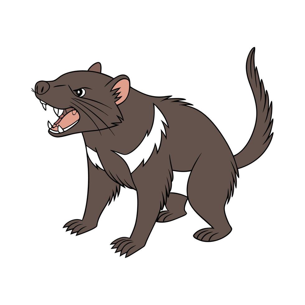 Tasmanian Devil CloseUp vector
