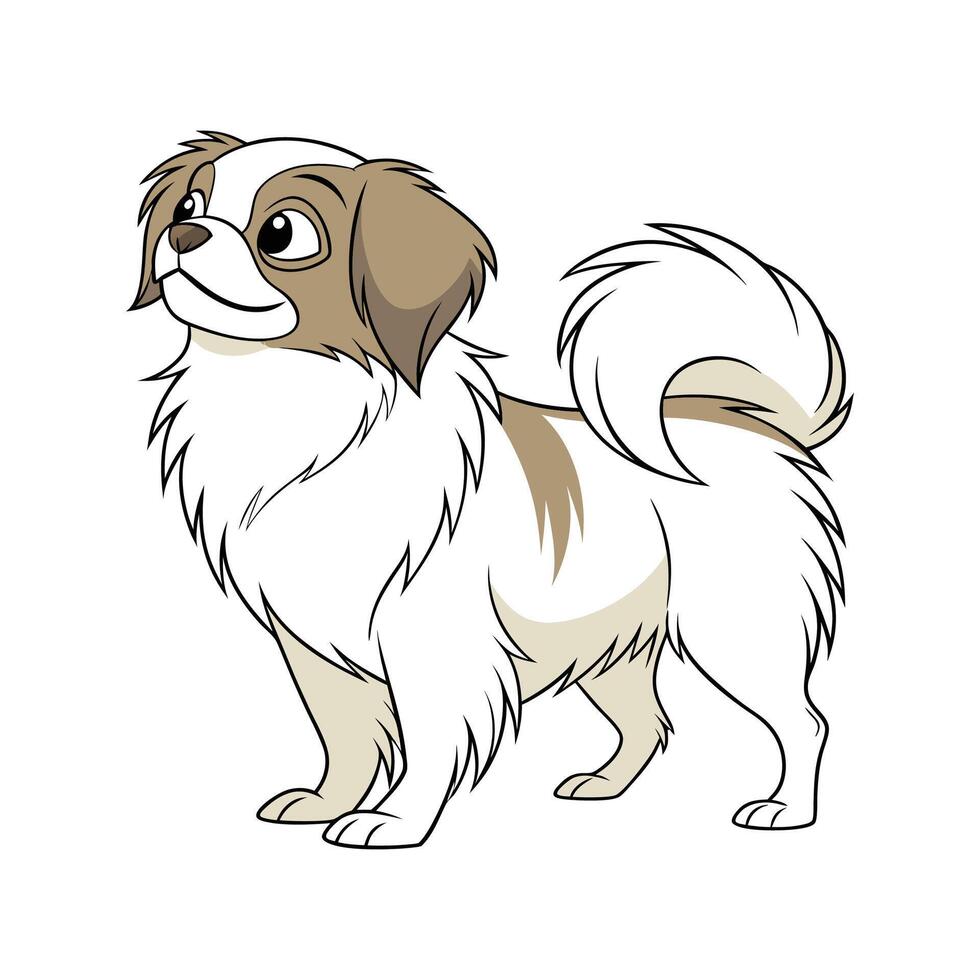 Tibetan Spaniel CloseUp vector