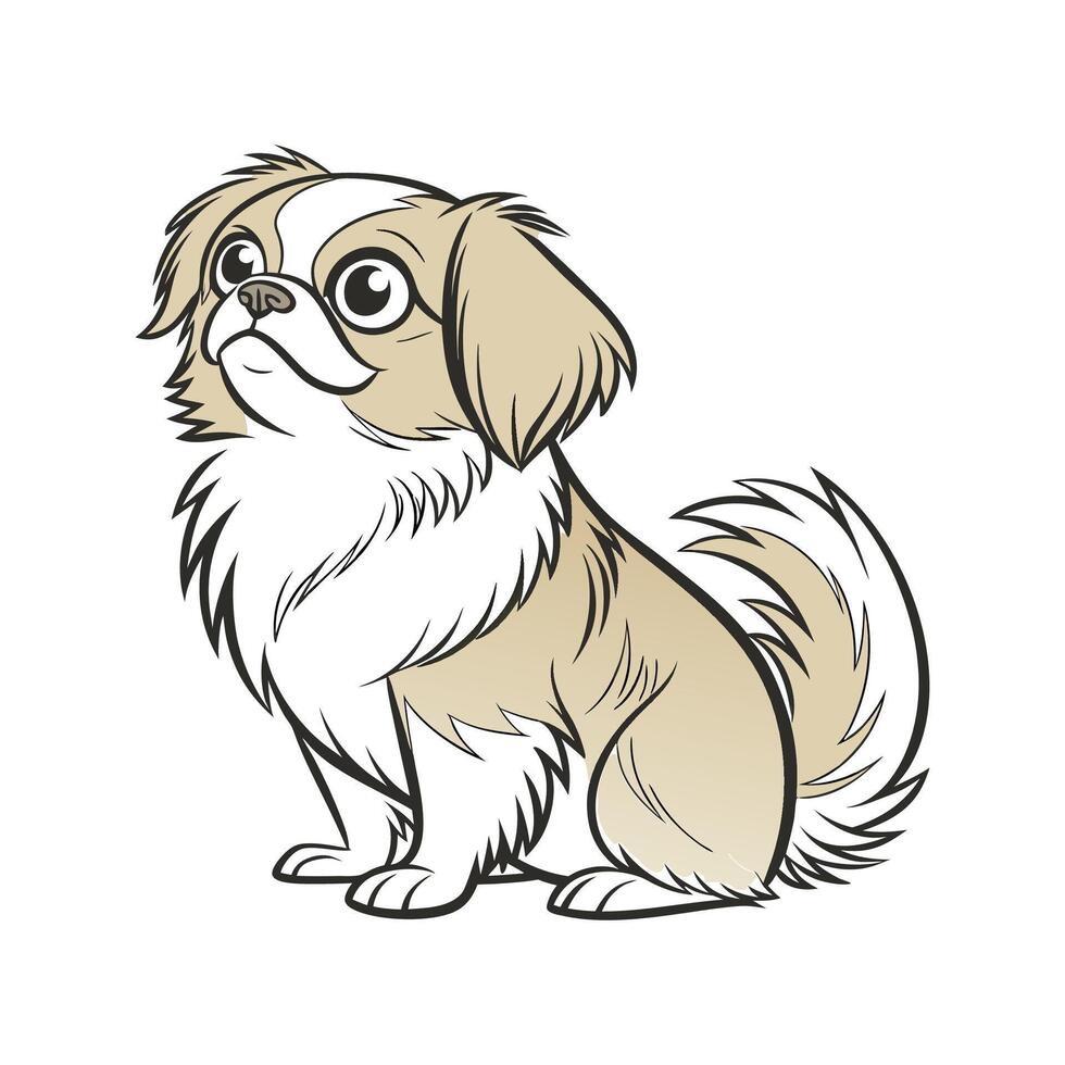 Tibetan Spaniel on White Background vector