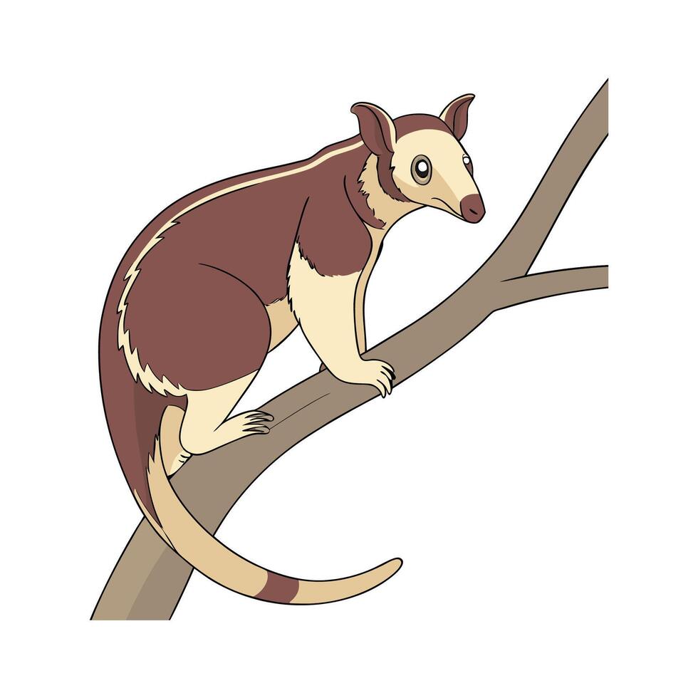 Tree Kangaroo in Natural Habitat vector