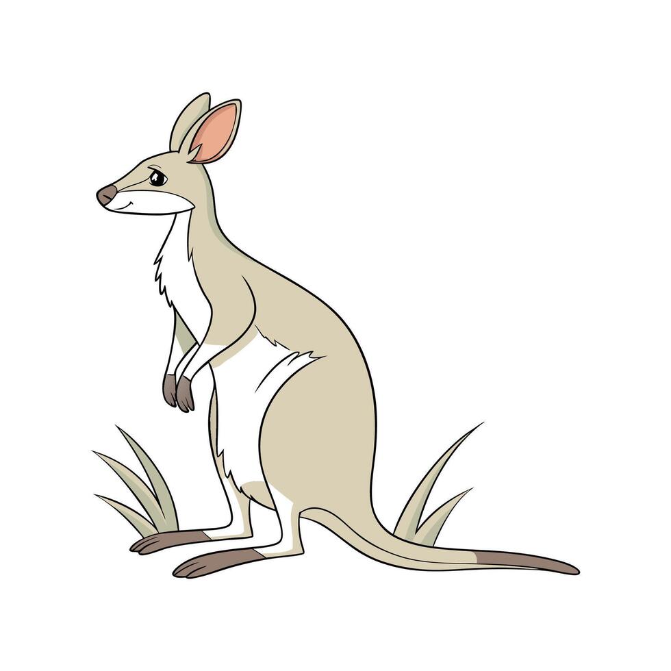 Wallaby in Natural Habitat vector