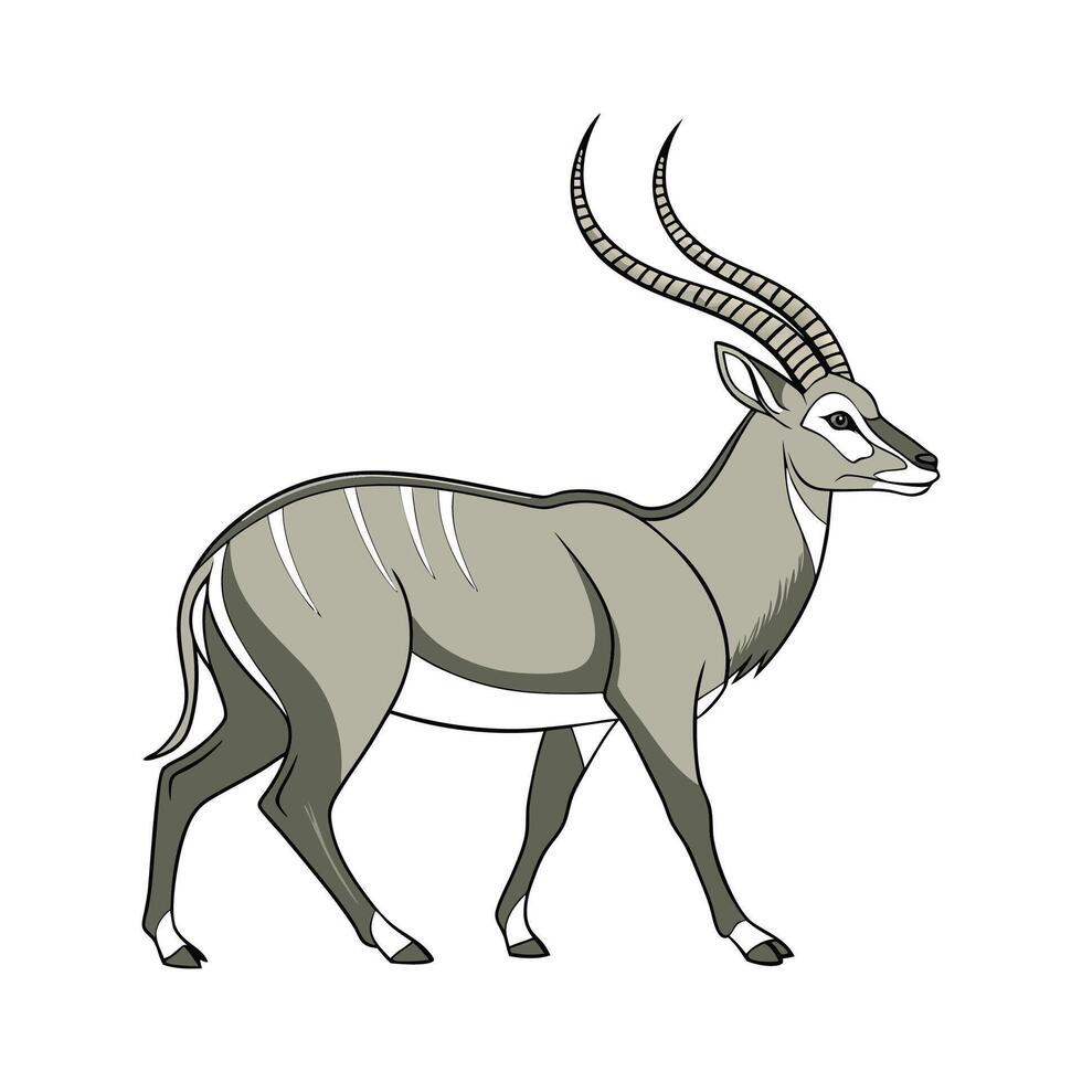 Waterbuck Antelope on White vector
