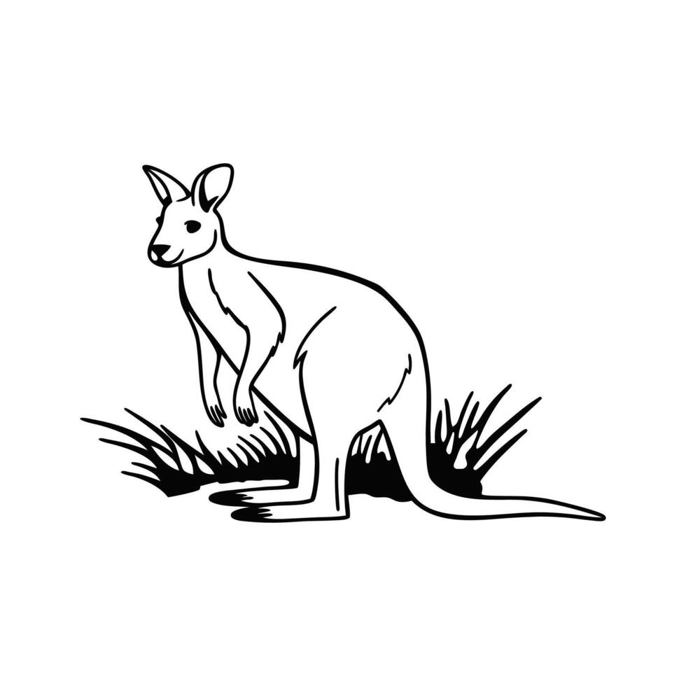 Stunning Wallaby Enjoying Nature vector
