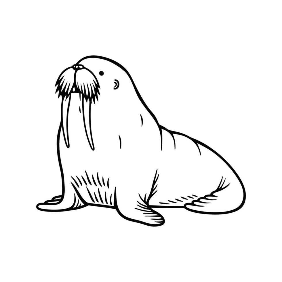 Charming Walrus Relaxing on Shore vector