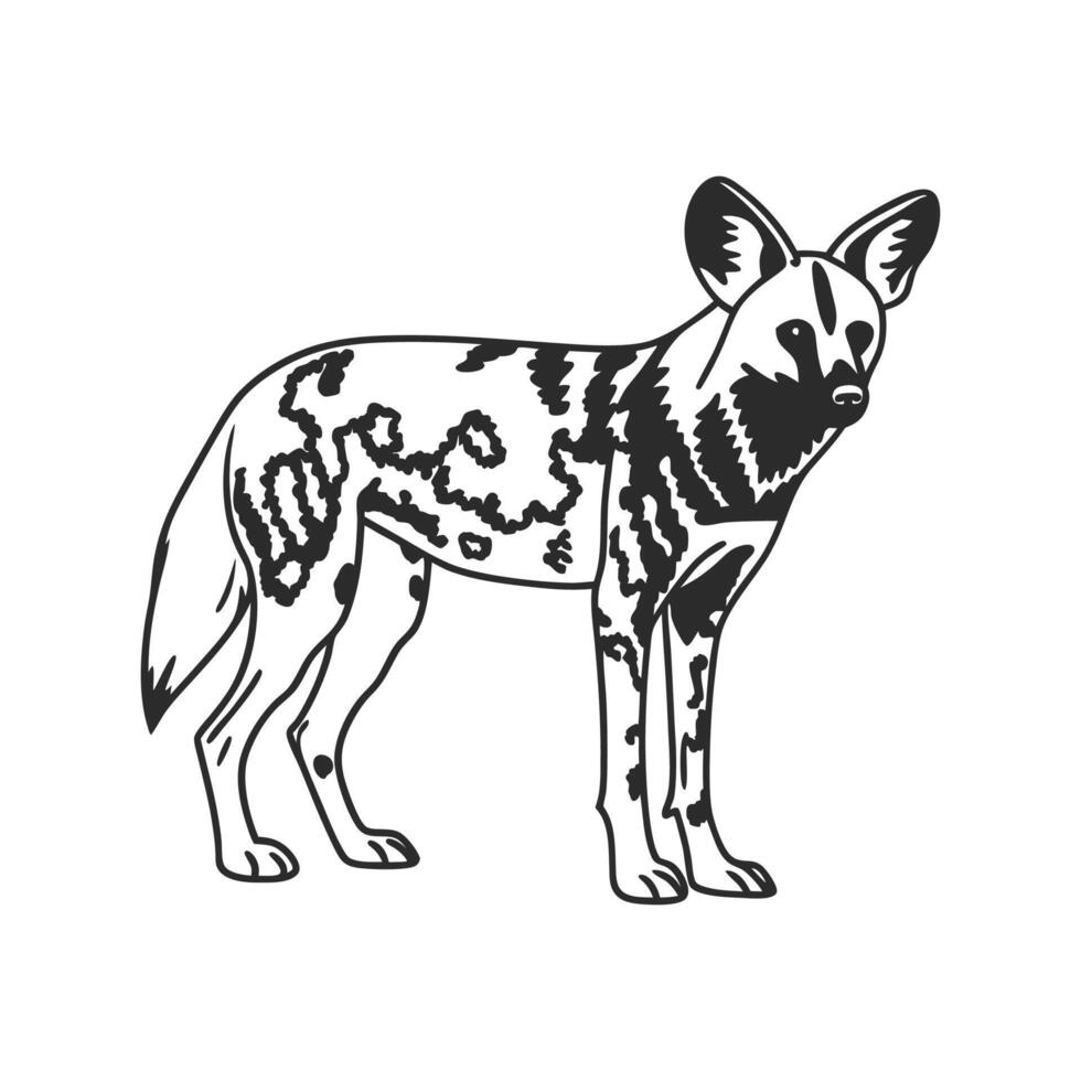 Vibrant African Wild Dog Hunting vector