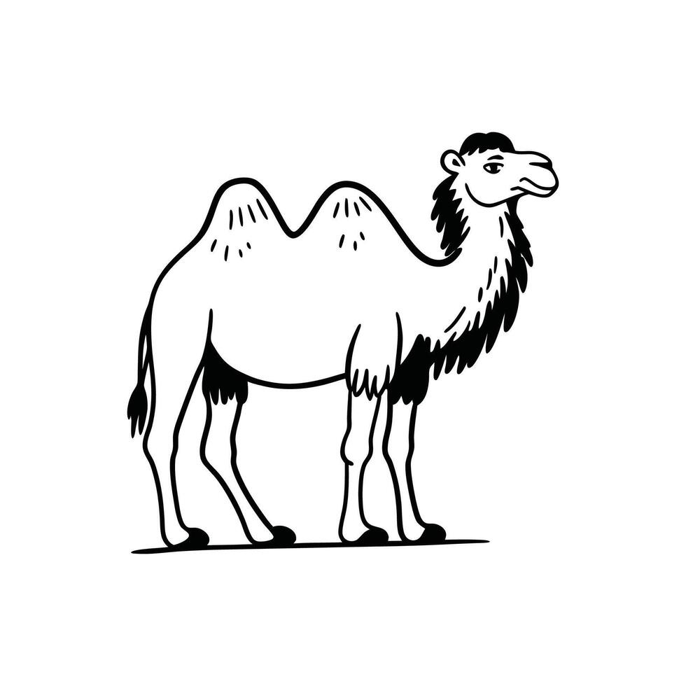 Stunning Bactrian Camel in Natural Habitat vector
