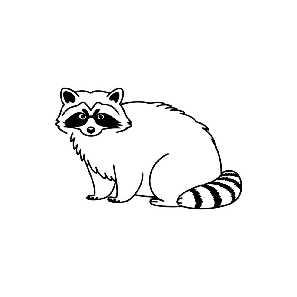 Curious Common Raccoon Exploring vector