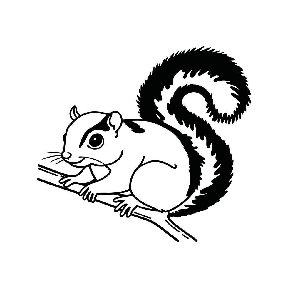 Playful Common Squirrel Gathering Nuts vector