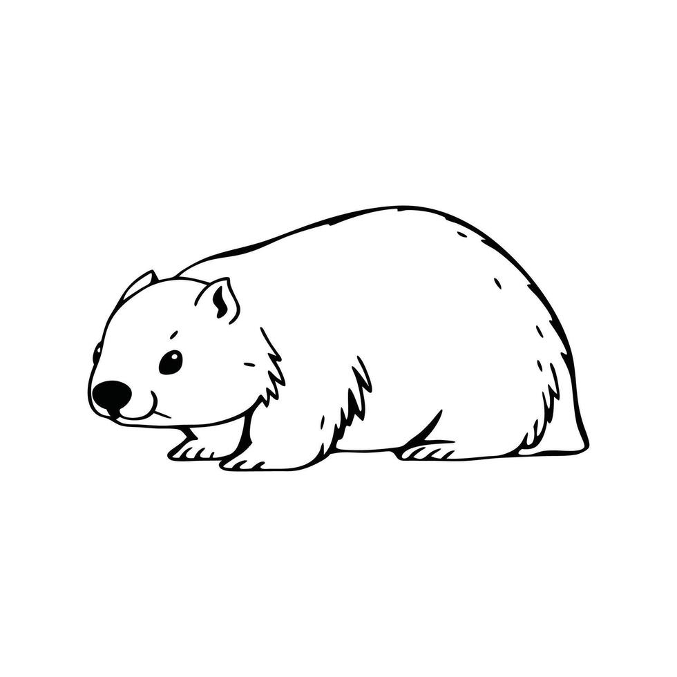 Adorable Common Wombat Resting vector