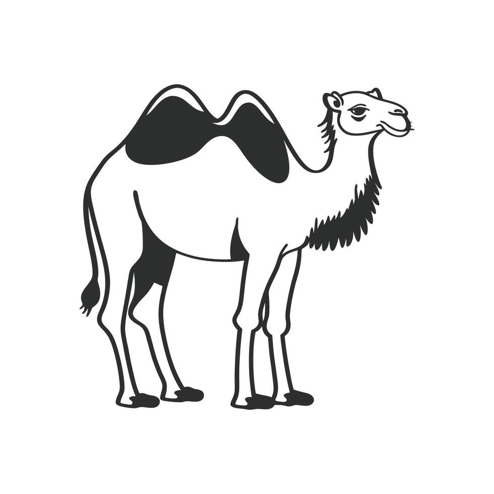 Majestic Dromedary Camel Walking Gracefully vector