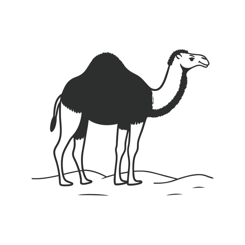 Dromedary Camel Relaxing in the Desert vector
