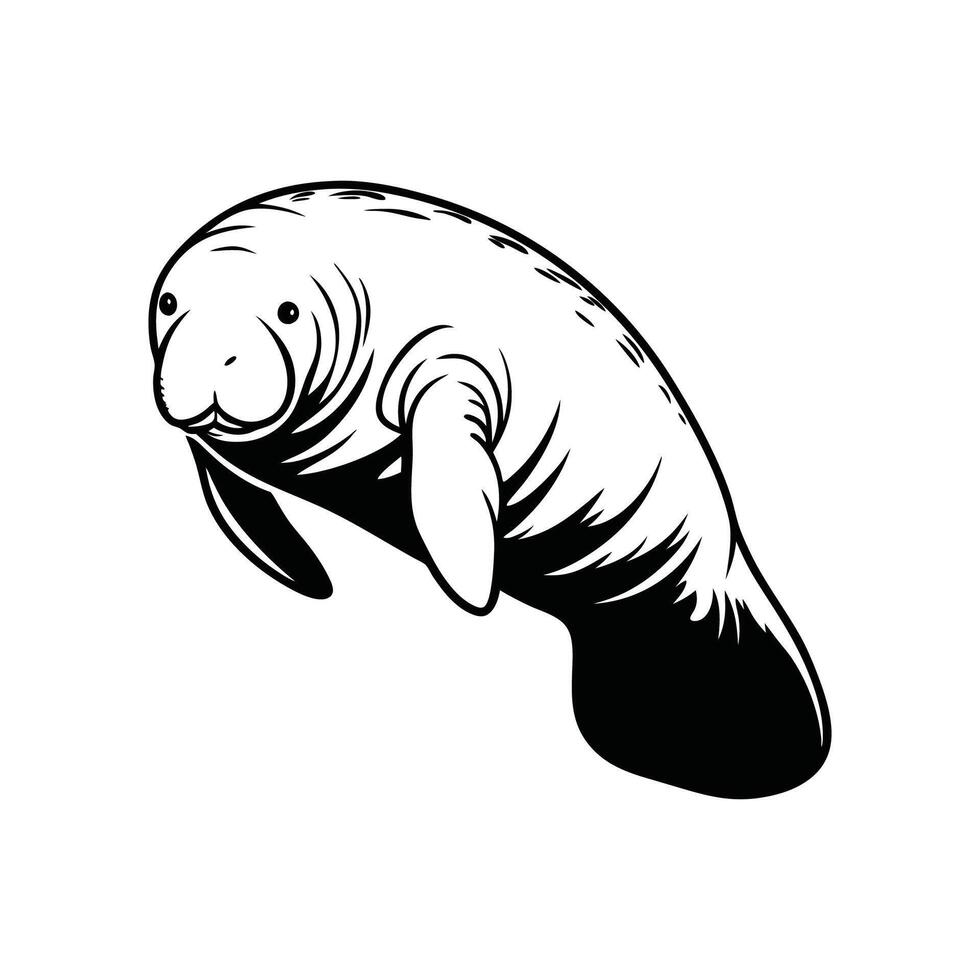 Gentle Manatee Swimming Gracefully vector