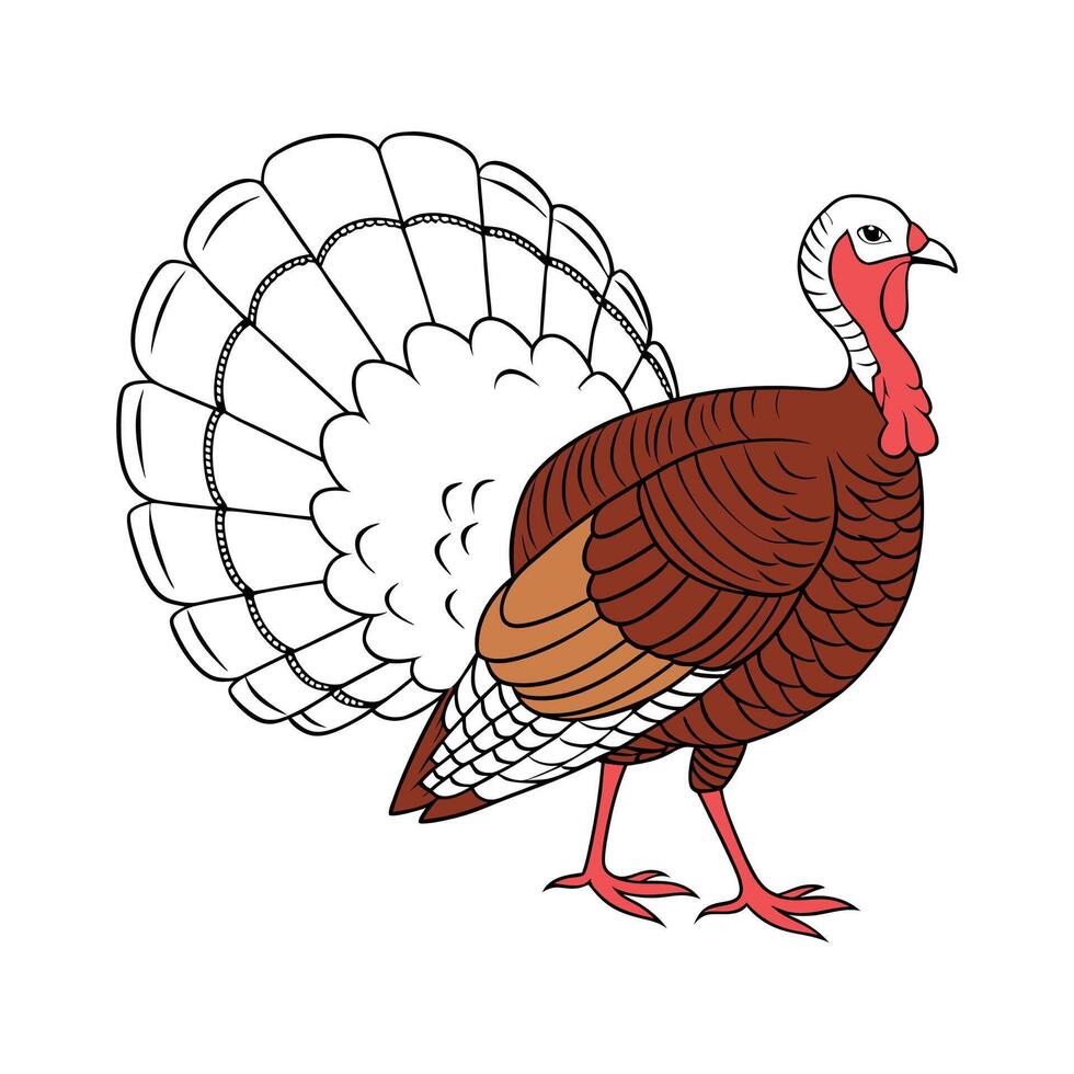 Charming Turkey Hen Realistic Illustration vector