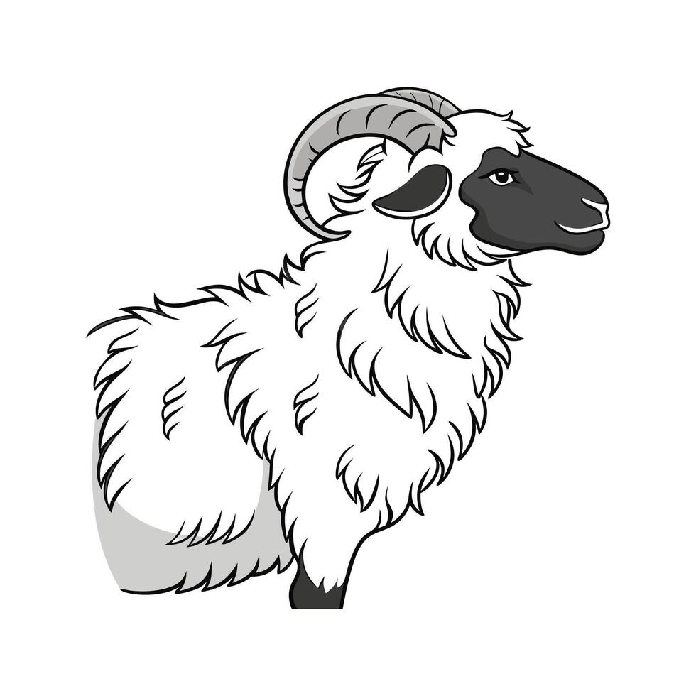 Charming Valais Blacknose Sheep Realistic Color vector